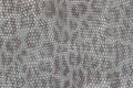 Genuine leather texture background close-up, embossed under the skin a beautiful imitation of leopard, blue color print