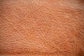 Genuine leather texture background. Dark brown, orange textures for decoration blank. Vintage skin natural suede with design line Royalty Free Stock Photo