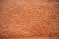 Genuine leather texture background. Dark brown, orange textures for decoration blank. Vintage skin natural suede with design line Royalty Free Stock Photo