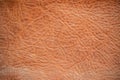 Genuine leather texture background. Dark brown, orange textures for decoration blank. Vintage skin natural suede with design line Royalty Free Stock Photo