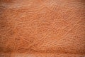 Genuine leather texture background. Dark brown, orange textures for decoration blank. Vintage skin natural suede with design line Royalty Free Stock Photo