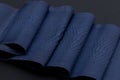 Genuine Python snakeskin leather, snake skin, texture, animal, reptile on a black background. Royalty Free Stock Photo