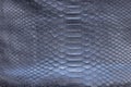 Genuine python snakeskin leather, snake skin, texture background. Royalty Free Stock Photo