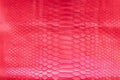 Genuine python snakeskin leather, snake skin, texture background. Royalty Free Stock Photo