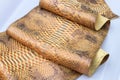 Genuine python snakeskin leather, snake skin, texture background. Royalty Free Stock Photo