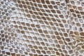 Genuine snake skin leather for texture and background. Seamless reptile pattern. Royalty Free Stock Photo