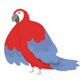 Genus zoo macaw icon cartoon vector. Tropical bird