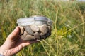 Geocache Container in man hand Royalty Free Stock Photo