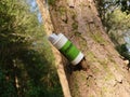 A geocache cylindrical container hanging on a broken branch from a tree trunk while hiking a forest Royalty Free Stock Photo