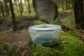 geocaching container in the woods Royalty Free Stock Photo