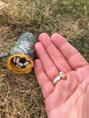 Geocaching items and adult hand closeup