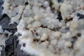 Minerals - geodes from Iceland Teigarhorn nature reserve