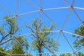 Geodesic dome frame climber - metal - Tall spring trees viewed through section with very blue sky - Background Royalty Free Stock Photo