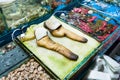 geoduck clams in fish market in Guangzhou city Royalty Free Stock Photo