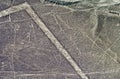 Geoglyphs and lines in the Nazca desert. Peru