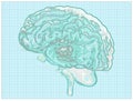 Geographic map of the brain, reworking of the human brain in the form of a map. Concept. Mind