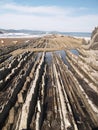 Geologic folds in Zumaias beach