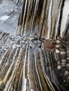 Geologic folds in Zumaias beach Royalty Free Stock Photo
