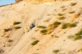 Geological cut of sands Royalty Free Stock Photo