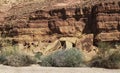 Geological Detail and Wildflowers in the Makhtesh Ramon Crater in Israel