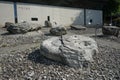 Geological finds from an open limestone quarry. RÃ¼dersdorf bei Berlin, Germany