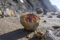 Geological formation of colorful stones with different layers, sand, fossil rocks on Magoito beach, Atlantic ocean coast near