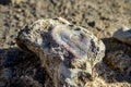 Geological formation of colorful stones with different layers, sand, fossil rocks on Magoito beach, Atlantic ocean coast near