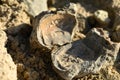 Geological formation of colorful stones with different layers, sand, fossil rocks on Magoito beach, Atlantic ocean coast near