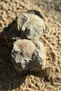 Geological formation of colorful stones with different layers, sand, fossil rocks on Magoito beach, Atlantic ocean coast near