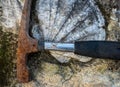 Geological hammer or rock pick ,with fossil shell  in limstone rock Royalty Free Stock Photo