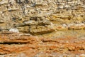 Geological layers of earth - layered rock. Close-up of sedimentary rock by ocean Royalty Free Stock Photo