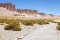 Geological monoliths close to Salar the Tara, Chile Royalty Free Stock Photo