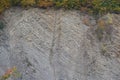 Geological mountain folds in Yaremche city, Ukraine, known as Yaremche folds