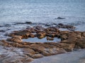 Tyninghame Beach and nature reserve, East Lothian, Scotland