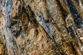 Geological rock full of veins in a background composition close up