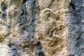 Geological rock full of veins in a background composition close up