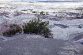 Geological Unusual rock formations, Submarine Valle de la Luna , Ischigualasto national park, paleontological reserve Royalty Free Stock Photo