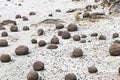 Geological Unusual rock formations, Valle de la Luna , bocce court Ischigualasto national park, paleontological Royalty Free Stock Photo