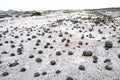 Geological Unusual rock formations, Valle de la Luna , bocce court Ischigualasto national park, paleontological Royalty Free Stock Photo