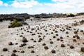 Geological Unusual rock formations, Valle de la Luna bocce court Ischigualasto national park, paleontological Royalty Free Stock Photo