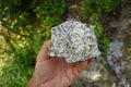 Geologist`s hand is holding a specimen of plutonic granite rock.