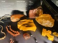 Amber and corals exhibited at the National History Museum in London