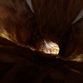 Geology stalactites tunnel