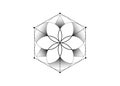 Flower of Life. Sacred geometry, Symbol of alchemy esoteric Metatrons cube. Mystic icon platonic solids, abstract geometric sign