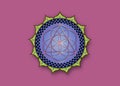 Flower of Life symbol Sacred Geometry. Colorful Lotus round Logo icon Geometric mystic mandala of alchemy esoteric Seed of life Royalty Free Stock Photo