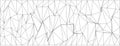 Geometric abstract art with dynamic chaotic lines for modern design projects