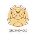 Geometric abstract groundhog head.