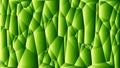 Geometric abstract luxury creative green background