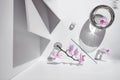 Geometric angular composition with phalaenopsis orchid flowers, different glass objects and shadows on a white