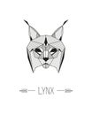 Geometric animal head isolated. Lynx.